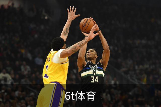 6t体育公司简介配图